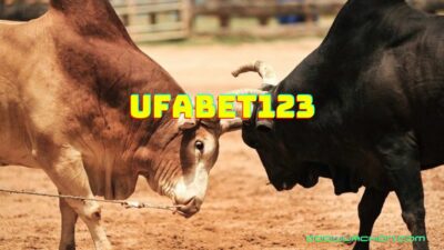 เว็บพนันวัวชนUFABET